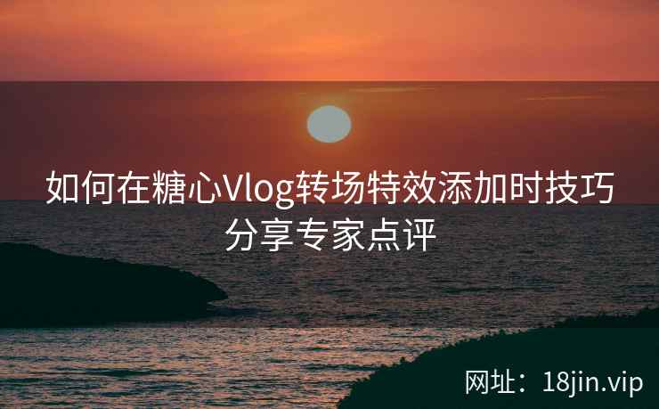 如何在糖心Vlog转场特效添加时技巧分享专家点评  第2张