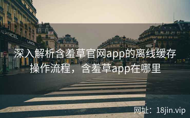 深入解析含羞草官网app的离线缓存操作流程，含羞草app在哪里  第2张