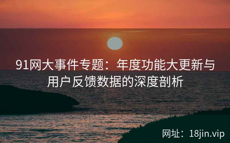 91网大事件专题：年度功能大更新与用户反馈数据的深度剖析  第1张